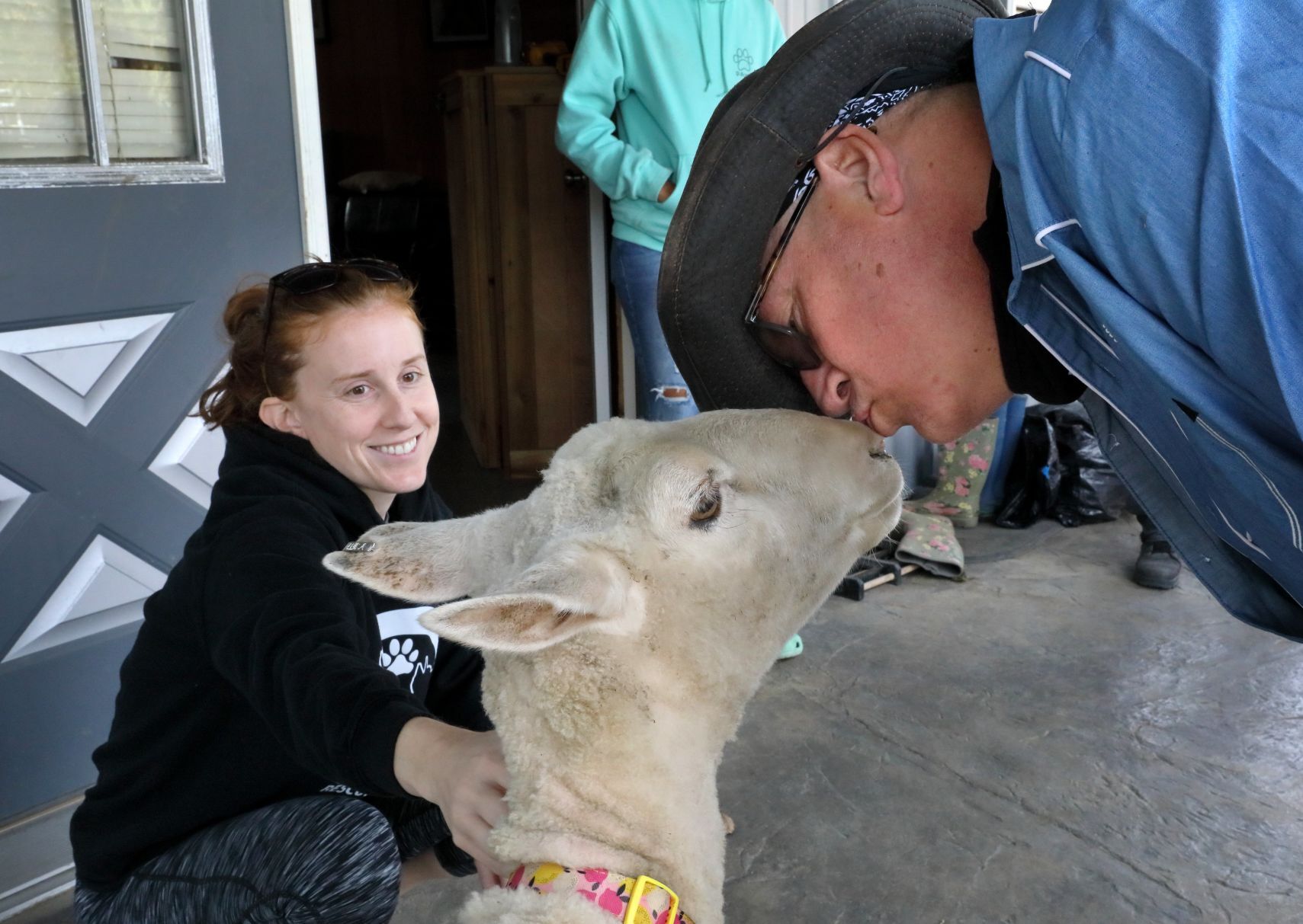 Mary Jane, formerly Shrek the sheep, adopted